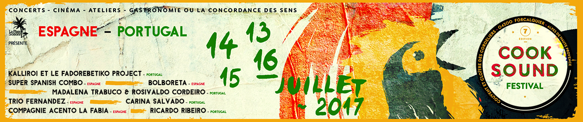 COOKSOUND FESTIVAL 13, 14, 15 et 16 Juillet 2017 (FORCALQUIER)