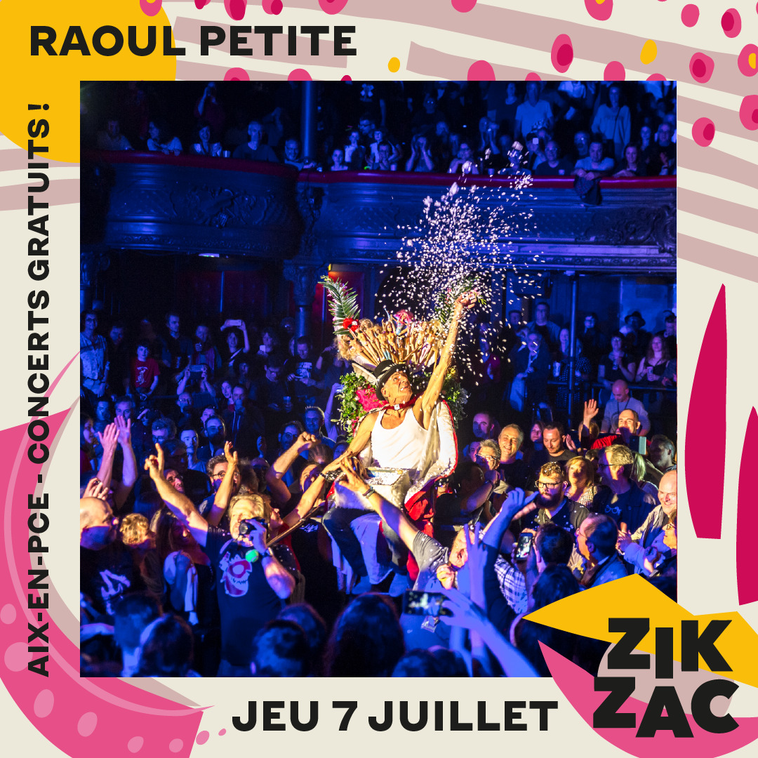 ZIKZAK-VISUEL ARTISTE-RAOUL PETITE